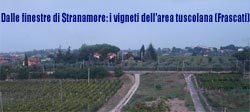 STRANAMORE - Foto 4