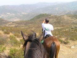 Picture of B&B  SHANGRILÀ - CENTRO DI TURISMO EQUESTRE  of FLUMINIMAGGIORE