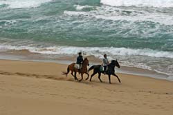 B&B SHANGRILÀ - CENTRO DI TURISMO EQUESTRE  - Foto 9