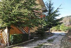 Picture of APPARTAMENTI RESIDENCE LE TERRAZZE of CARPEGNA