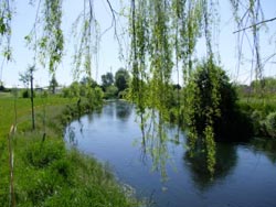 Picture of AGRITURISMO ACERO ROSSO of SACILE