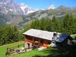 Foto B&B  LE PETIT NID di VALTOURNENCHE