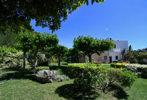 Picture of B&B VILLA NEPTUNIA of MELENDUGNO