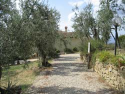 Picture of AGRITURISMO  LA GIOCONDA of VINCI