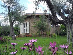 MENICA MARTA COUNTRY HOUSE - Foto 11