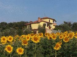 Foto B&B  LA CASA NELL'OLIVETO di ACQUASPARTA