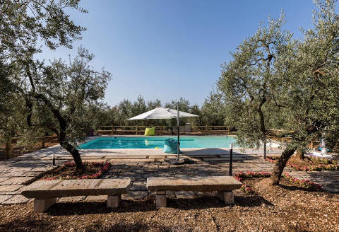 IL FINTO PEPE BED AND BREAKFAST - Foto 8