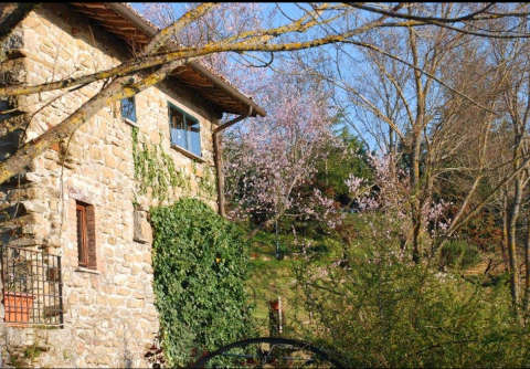 Picture of AGRITURISMO  LE CINCIALLEGRE of GUBBIO