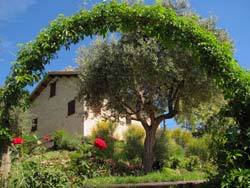 Foto CASA VACANZE OLD HOUSE di PENNA SAN GIOVANNI