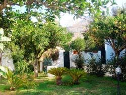 Photo B&B BED AND BREAKFAST VILLA ADRIANA a FORIO