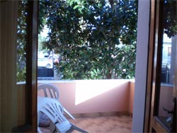 Picture of B&B LA MAGNOLIA of MORCIANO DI LEUCA