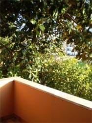 Picture of B&B LA MAGNOLIA of MORCIANO DI LEUCA