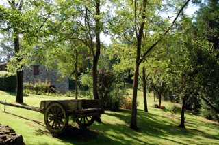 Picture of HOTEL  COLLE ETRUSCO SALIVOLPI of CASTELLINA IN CHIANTI