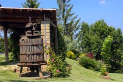 Foto AGRITURISMO OSPITALITÀ IL CEDRO di LA MORRA