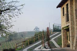 Foto AGRITURISMO OSPITALITÀ IL CEDRO di LA MORRA