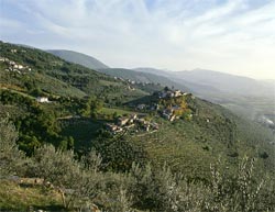 LOCANDA SETTECAMINI - Foto 10