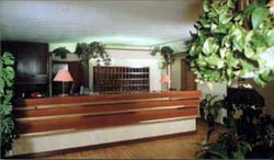 Picture of HOTEL  ALBATROS of CALENZANO