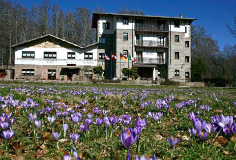 Foto HOTEL ALBERGO RISTORANTE LE MACINAIE di CASTEL DEL PIANO