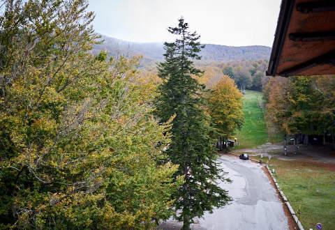 Foto HOTEL ALBERGO RISTORANTE LE MACINAIE di CASTEL DEL PIANO