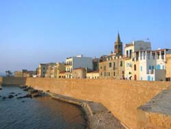 Picture of B&B  ALGUER of ALGHERO