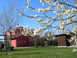 Picture of AGRITURISMO  PRÀ D'ARCA of CEGGIA