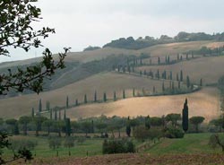 LE RADICI NATURA & BENESSERE - Foto 10