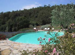 Picture of AGRITURISMO LE RADICI NATURA & BENESSERE of SAN CASCIANO DEI BAGNI