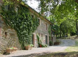 Foto AGRITURISMO LE RADICI NATURA & BENESSERE di SAN CASCIANO DEI BAGNI