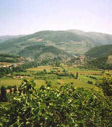 LA FINESTRA SULLA CASCATA DELLE MARMORE - Foto 10