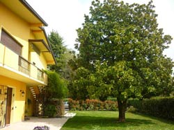 Picture of B&B AI 2 PASSI of VILLORBA