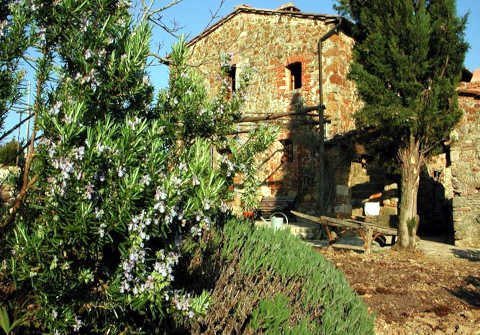 Foto AGRITURISMO PODERE LE LAPOLE di CIVITELLA PAGANICO