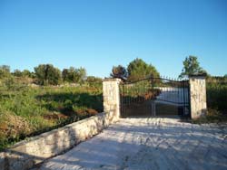 Foto CASA VACANZE SOLO TRULLI di OSTUNI