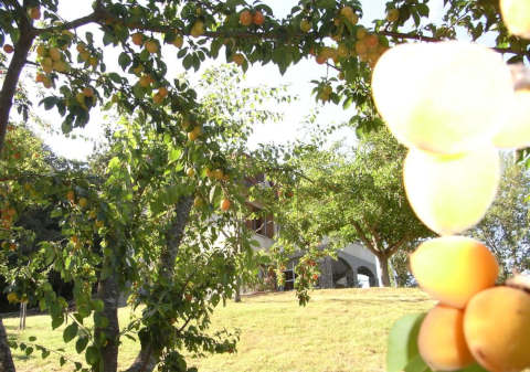 Picture of B&B IL BOSCO DEI CERVI BED AND BREAKFAST of GRIZZANA MORANDI