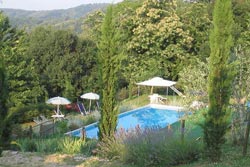 Picture of B&B APPARTAMENTI LIONFORTI DA VICO of GREVE IN CHIANTI