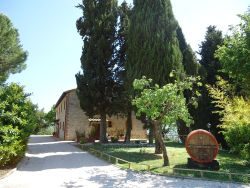 Picture of AGRITURISMO CASALI DEL TOPPELLO of CORCIANO