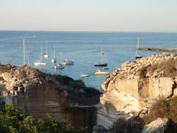 Foto CASA VACANZE BUTTERFLY di ISOLE EGADI