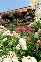 Photo AFFITTACAMERE IL GIARDINO DI VALENTINA a ESCOLCA