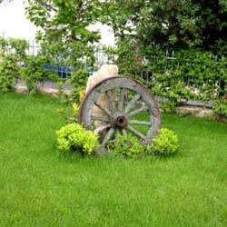 Foto AFFITTACAMERE IL GIARDINO DI VALENTINA di ESCOLCA