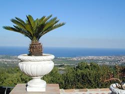 IL CILIEGIO DELL'ETNA - Foto 10