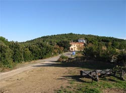 Foto B&B  LA CASINA DI BETTA di ROSIGNANO MARITTIMO