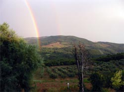 Fotos B&B  LA CASINA DI BETTA von ROSIGNANO MARITTIMO