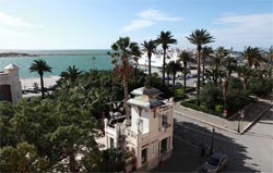 ALLA MARINA BED & BREAKFAST - Foto 8