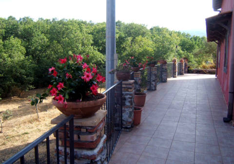 Picture of AGRITURISMO AGRICAMPEGGIO -  FRIERA of LINGUAGLOSSA