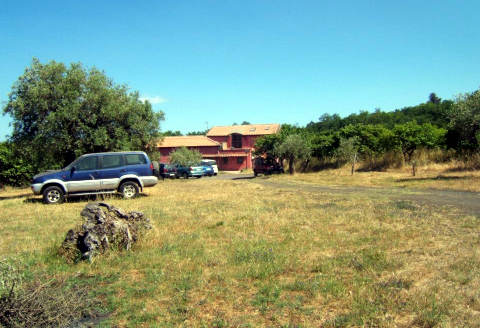 Picture of AGRITURISMO AGRICAMPEGGIO -  FRIERA of LINGUAGLOSSA