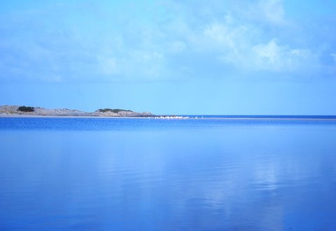 Picture of B&B LA TERRA DEI SOGNI  of DOMUS DE MARIA