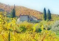 Picture of AGRITURISMO  I CIPRESSI of GREVE IN CHIANTI