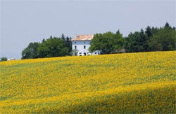 Foto AGRITURISMO  BENESSERE CASA AZZURRA di LORO PICENO