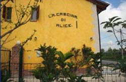 Foto B&B LA CASCINA DI ALICE di CASTIGLIONE DELLE STIVIERE