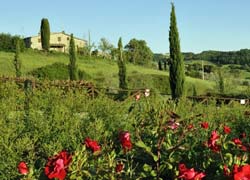 Foto RESIDENCE  LA PERGOLA di CASOLE D'ELSA