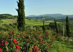 Foto RESIDENCE  LA PERGOLA di CASOLE D'ELSA